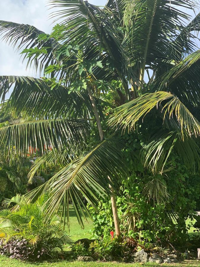 Bella Casa Villa Rarotonga Luaran gambar